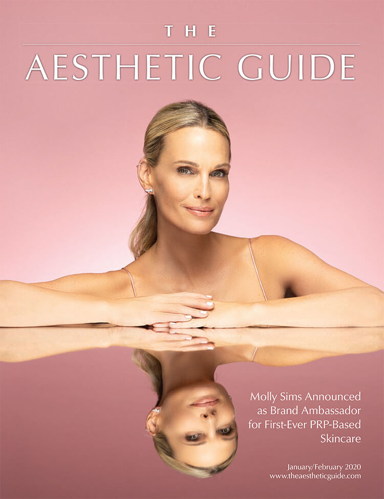 the-aesthetics-guide-cover